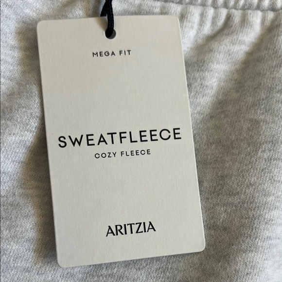 NWT Aritzia mega cargo cozy fleece Heather Gray Cargo Joggers size small - Picture 3 of 4